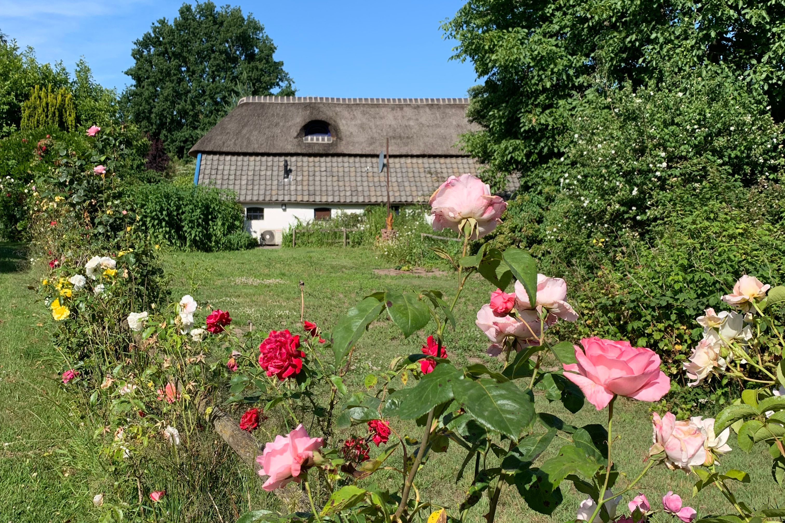 boerderij in de herfst